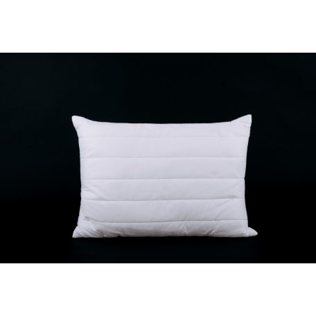 NATURTEX Antibacterial Soft kispárna 40x50 cm