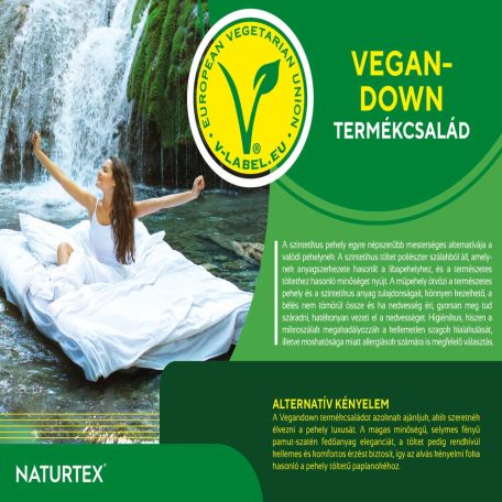 NATURTEX Vegan Down kispárna 40x50cm, 350g